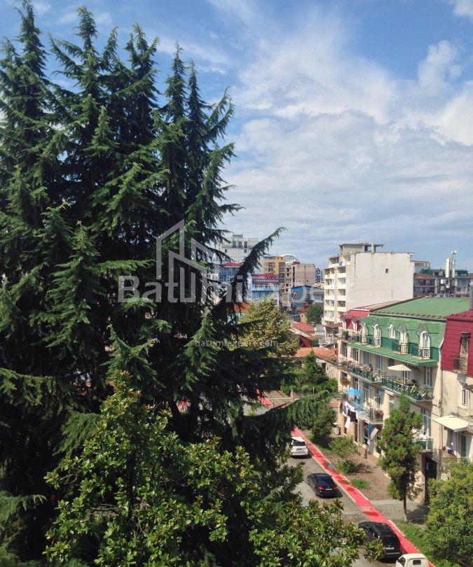 شقة سكنية 116 متر مربع - فاختانغ جورجاسالي, Batumi, جورجيا