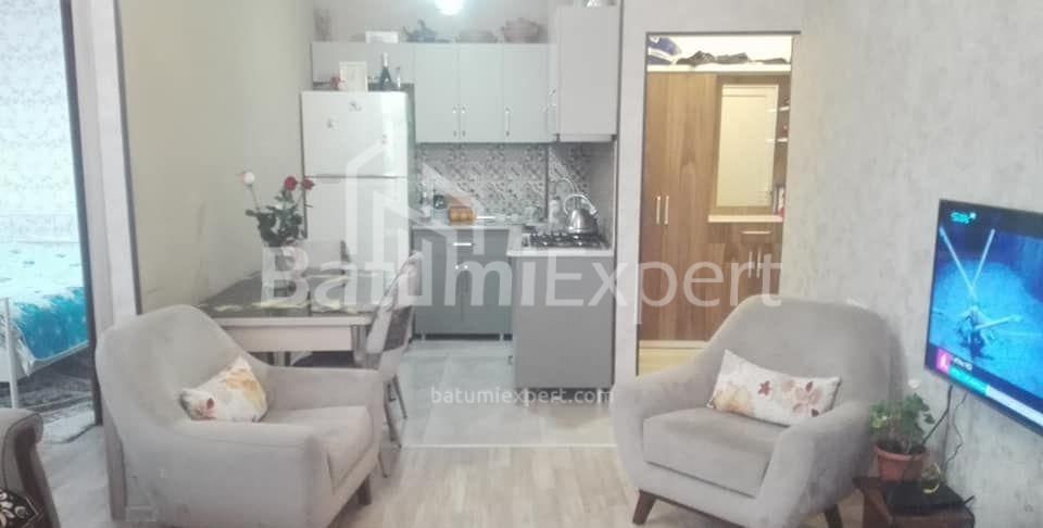 شقة سكنية 66 متر مربع - الكسندرا بوشكين, Batumi, جورجيا