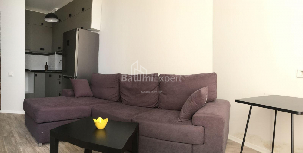 شقة سكنية 48 متر مربع - الكسندرا بوشكين, Batumi, جورجيا