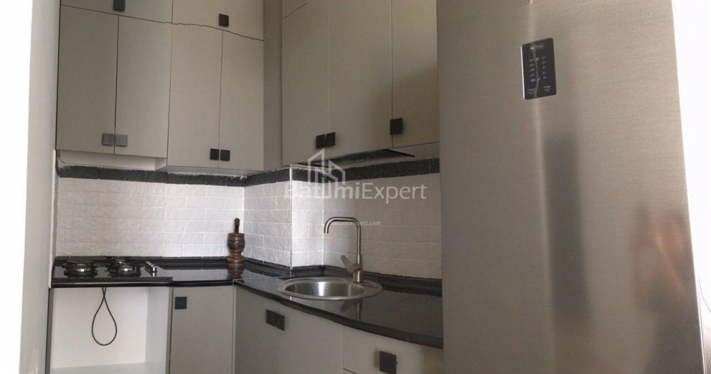 شقة سكنية 48 متر مربع - الكسندرا بوشكين, Batumi, جورجيا