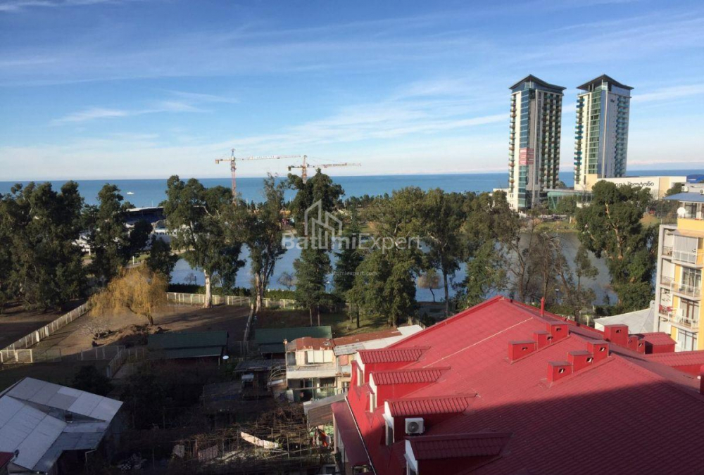 شقة سكنية 68 متر مربع - زورابا جورجيلادزه, Batumi, جورجيا