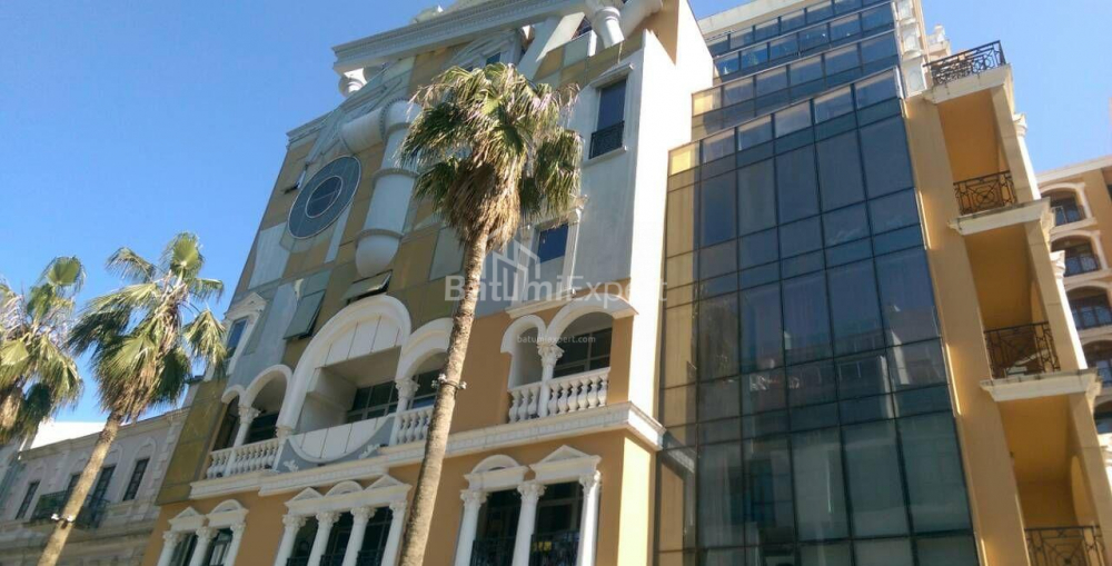شقة سكنية 44 متر مربع - روستافيلي, Batumi, جورجيا