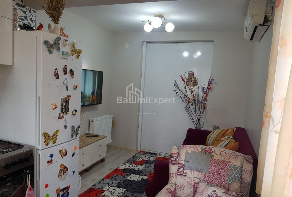 شقة سكنية 43 متر مربع - فريدون خالفاشي, Batumi, جورجيا