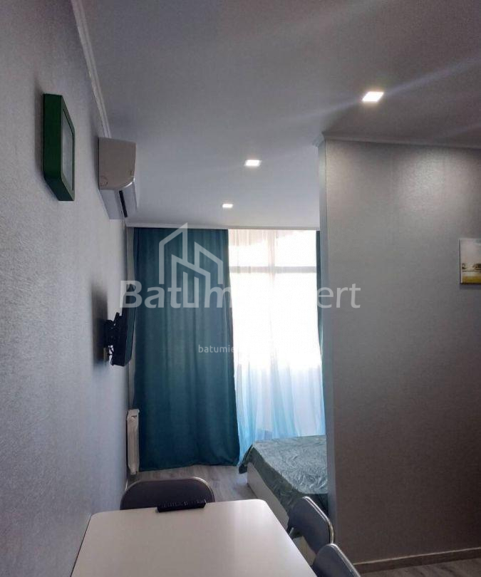 شقة سكنية 35 متر مربع - نيكو بيروسماني, Batumi, جورجيا