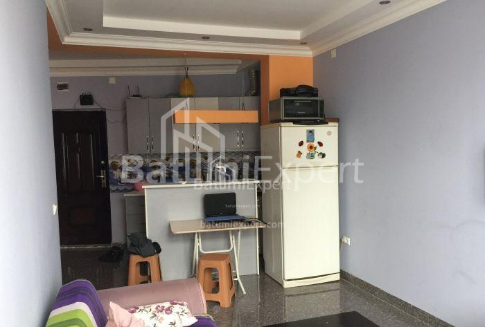 شقة سكنية 49 متر مربع - الكسندرا بوشكين, Batumi, جورجيا