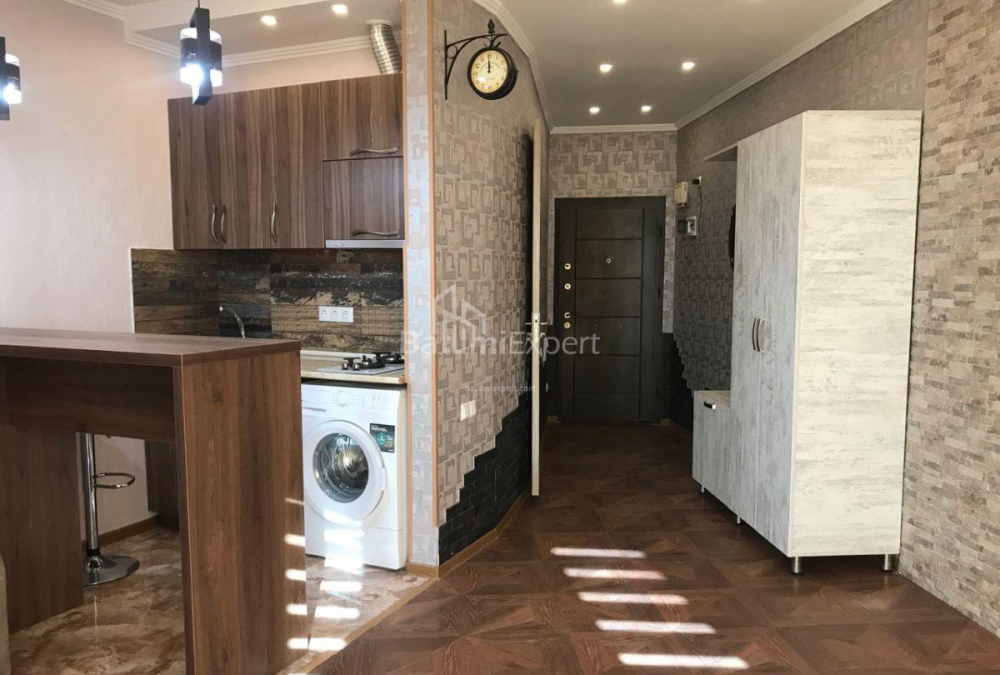 شقة سكنية 42 متر مربع - نيكو بيروسماني, Batumi, جورجيا