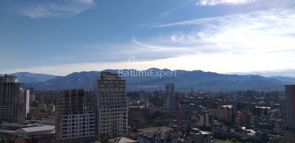 شقة سكنية 31.3 متر مربع - شالفا إيناساريدزه, Batumi, جورجيا