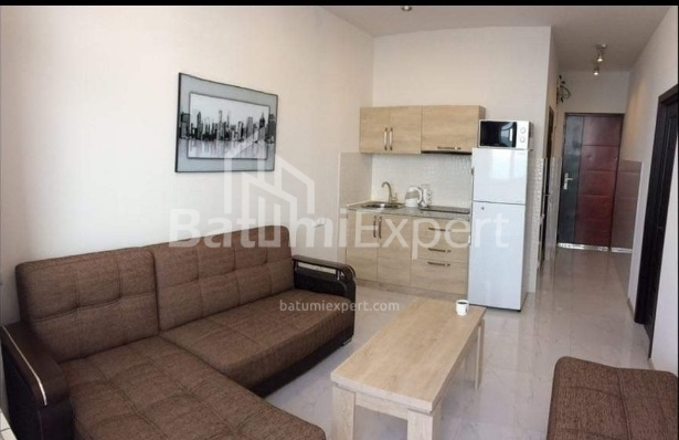 شقة سكنية 42 متر مربع - شالفا إيناساريدزه, Batumi, جورجيا
