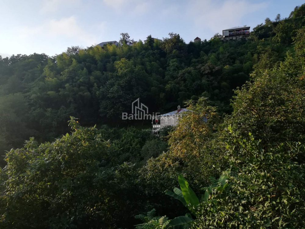منزل شخصي 2501 متر مربع - اكاكي شاينيدزه, Khelvachauri, جورجيا