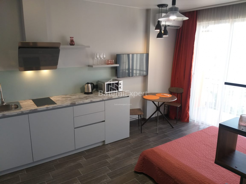 شقة سكنية 31.3 متر مربع - شالفا إيناساريدزه, Batumi, جورجيا