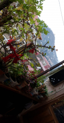 شقة سكنية 84 متر مربع - Svishchevsky, Batumi, جورجيا