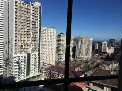 شقة سكنية 48 متر مربع - نيكو بيروسماني, Batumi, جورجيا