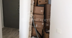 شقة سكنية 48 متر مربع - بالافانديشفيلي, Batumi, جورجيا