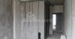 العنصر قيد الإنشاء 34.8 متر مربع - ليش وماريا كاتشينسكي, Batumi, جورجيا