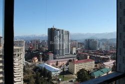 شقة سكنية 30.3 متر مربع - زقاق الأبطال, Batumi, جورجيا