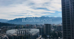 شقة سكنية 35 متر مربع - زقاق الأبطال, Batumi, جورجيا