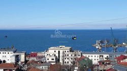 شقة سكنية 56 متر مربع - الكسندرا بوشكين, Batumi, جورجيا