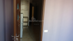 شقة سكنية 34.54 متر مربع - فاختانغ جورجاسالي, Batumi, جورجيا