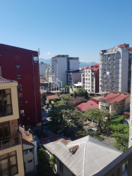 شقة سكنية 48 متر مربع - فاختانغ جورجاسالي, Batumi, جورجيا