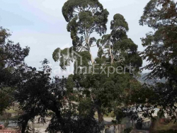 شقة سكنية 3-комн 75 m² - فريدون خالفاشي, Batumi