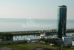 شقة سكنية 56 متر مربع - نيكو بيروسماني, Batumi, جورجيا