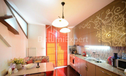 شقة سكنية 4-комн 93 m² - فاختانغ جورجاسالي, Batumi