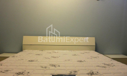 شقة سكنية 160 متر مربع - ايليا تشافتشافادزه, Batumi, جورجيا