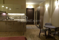 شقة سكنية 33 متر مربع - شريف خيمشياشفيلي, Batumi, جورجيا