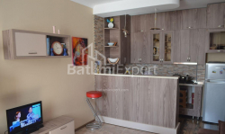 شقة سكنية 3-комн 64 m² - شالفا إيناساريدزه, Batumi