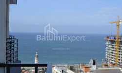 شقة سكنية 33 متر مربع - نيكو بيروسماني, Batumi, جورجيا