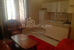 شقة سكنية 48 متر مربع - يوريفسكايا, Batumi, جورجيا