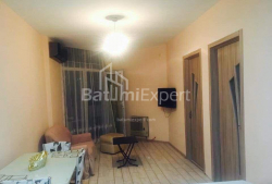 شقة سكنية 56 متر مربع - الكسندرا بوشكين, Batumi, جورجيا