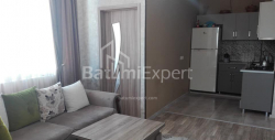 شقة سكنية 4-комн 66 m² - الكسندرا بوشكين, Batumi