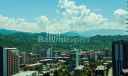 شقة سكنية 62 متر مربع - فاختانغ جورجاسالي, Batumi, جورجيا
