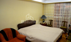 شقة سكنية 234 متر مربع - ايليا تشافتشافادزه, Batumi, جورجيا