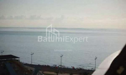 شقة سكنية 24 متر مربع - يوريفسكايا, Batumi, جورجيا