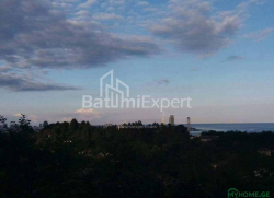 قطعة أرض 300 متر مربع - يوريفسكايا, Batumi, جورجيا