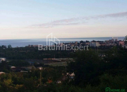 قطعة أرض 300 متر مربع - يوريفسكايا, Batumi, جورجيا