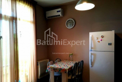 شقة سكنية 43 متر مربع - يوريفسكايا, Batumi, جورجيا
