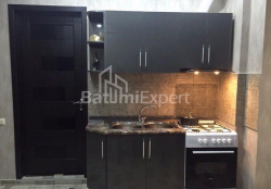 شقة سكنية 46 متر مربع - يوريفسكايا, Batumi, جورجيا