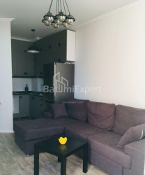 شقة سكنية 48 متر مربع - الكسندرا بوشكين, Batumi, جورجيا