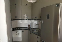 شقة سكنية 48 متر مربع - الكسندرا بوشكين, Batumi, جورجيا