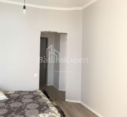 شقة سكنية 48 متر مربع - الكسندرا بوشكين, Batumi, جورجيا