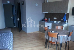 شقة سكنية 33 متر مربع - يوريفسكايا, Batumi, جورجيا