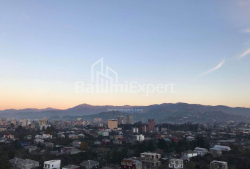شقة سكنية 45 متر مربع - يوريفسكايا, Batumi, جورجيا