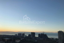 شقة سكنية 36 متر مربع - جريجولا إليافا, Batumi, جورجيا