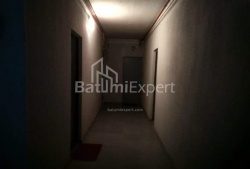 شقة سكنية 68 متر مربع - ديميتر تافدادبولي, Batumi, جورجيا
