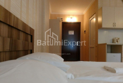 شقة سكنية 33 متر مربع - شريف خيمشياشفيلي, Batumi, جورجيا