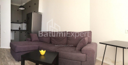 شقة سكنية 48 متر مربع - الكسندرا بوشكين, Batumi, جورجيا