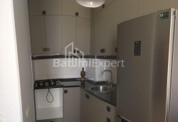 شقة سكنية 48 متر مربع - الكسندرا بوشكين, Batumi, جورجيا